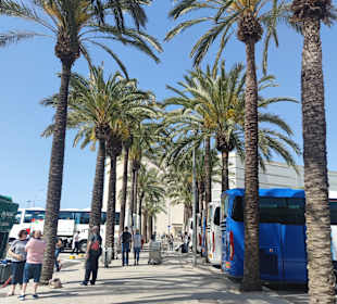 Hafen Palma de Mallorca