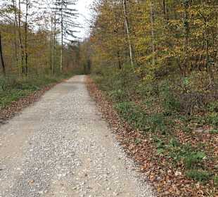 Wandertour "Rund um den Rossberg" Öschingen