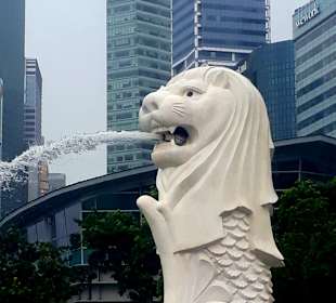 Merlion MBS