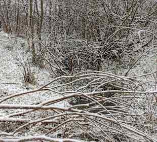 Wandern Burg (Spreewald)