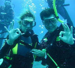Schnuppertauchen auf Teneriffa