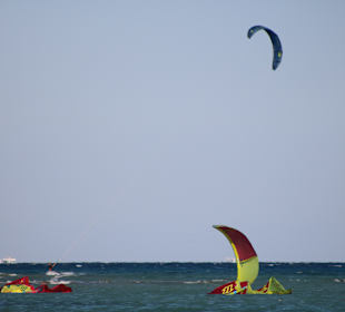Windsurfing in Safaga