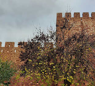 Castelo de Silves