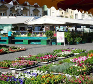 Impressionen des Wochenmarkt in Luxemburg Stadt