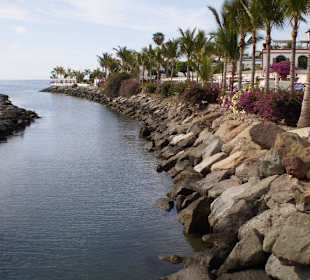 Mogan wie ein kleines