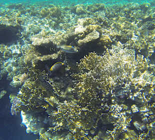 Verstecken gibt es nicht