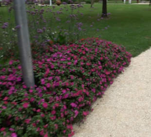 Blühendes Neresheim