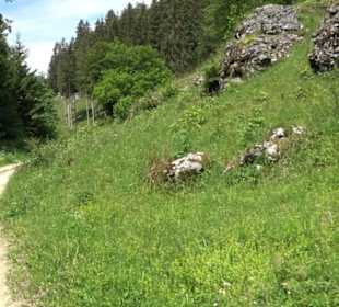 Premiumwanderweg "hochgehackert"