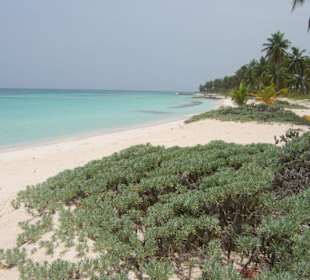 Privatstrand auf Saona