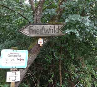 FriedWald Schönbuch