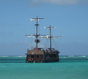 Bei Strandwanderung entdeckt.