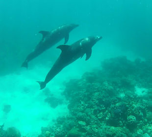 Sonnenuntergangstour