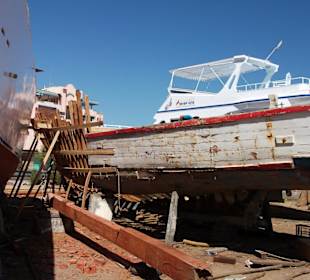 Stadtrundfahrt mit Tilly