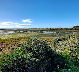 Parque Natural da Ria Formosa