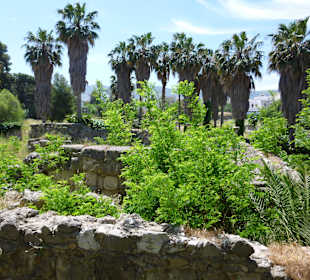 Ausgrabunungen in Kos