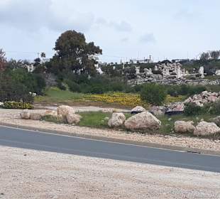 Ausblick Sculpturenpark