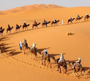 Camel rides 