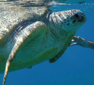 Begegnung mit ca.140 Jahren