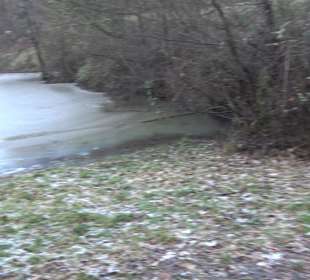 Ochsenweiher Rundweg