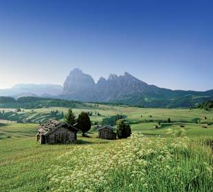 Seiser Alm/Alpe di Siusi