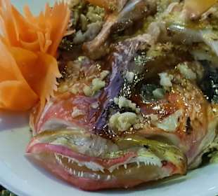 Unser abschiedsfisch