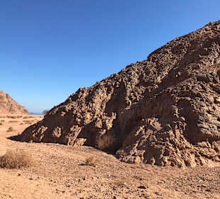 Quad Tour Marsa Alam