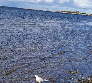 Falckensteiner Strand