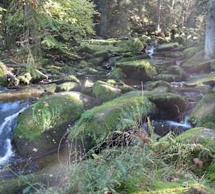 Fluss
