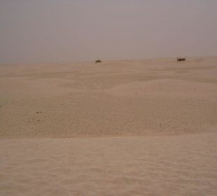 Ausflug in die Sahara Douz