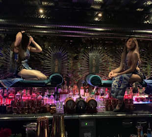 Ophelia4 Bar 