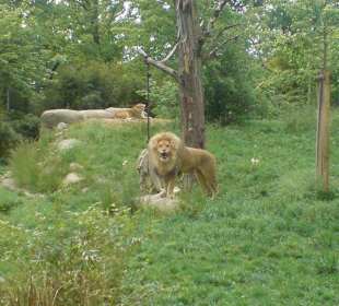 Zoo Leipzig