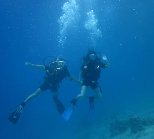 Scuba diving
