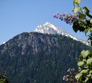 Blick auf den Watzmann