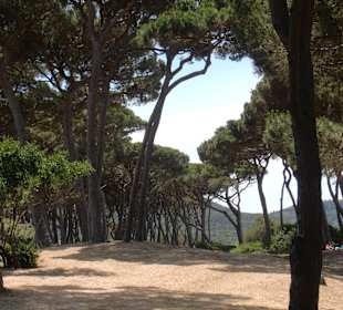 Golf von Baratti