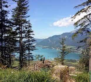 Blick auf den Wolfgangsee