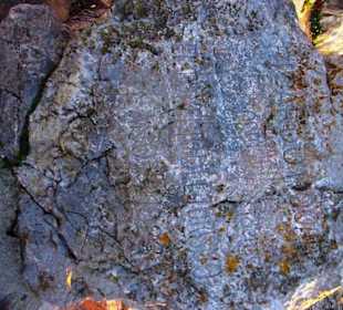 Piratenkontrollstelle Inschrift