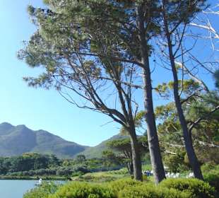 Cape Point Vineyards in Noordhoek