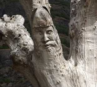 Baum mit alten Schnitzereien