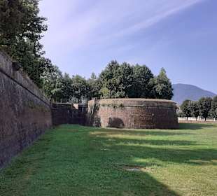 Stadtmauer Lucca