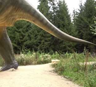 Dinosaurier Museum Altmühltal