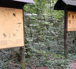 Tafeln im Wald Beschreibung