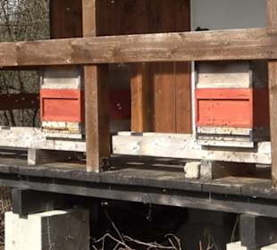 Bienenlehrpfad