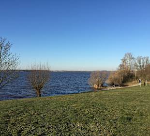 Senftenberger See
