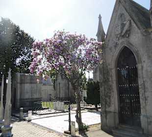 Cementerio de Oporto