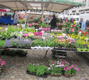 Altstadt Freiburg Markt am Münster