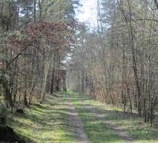 Bei der Lingenfelder Grotte