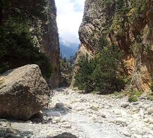 Samaria. Am Flussbeet. Im Winter & Herbst voll Wasser