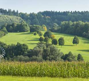 St. Wolfgang Golfplatz Uttlau