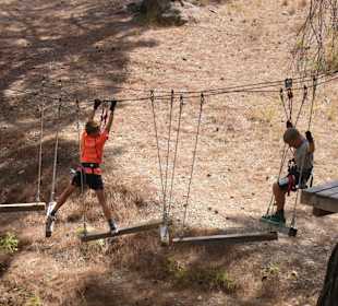 Anspruchsvolle Parcours