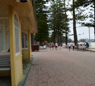 Manly Beach